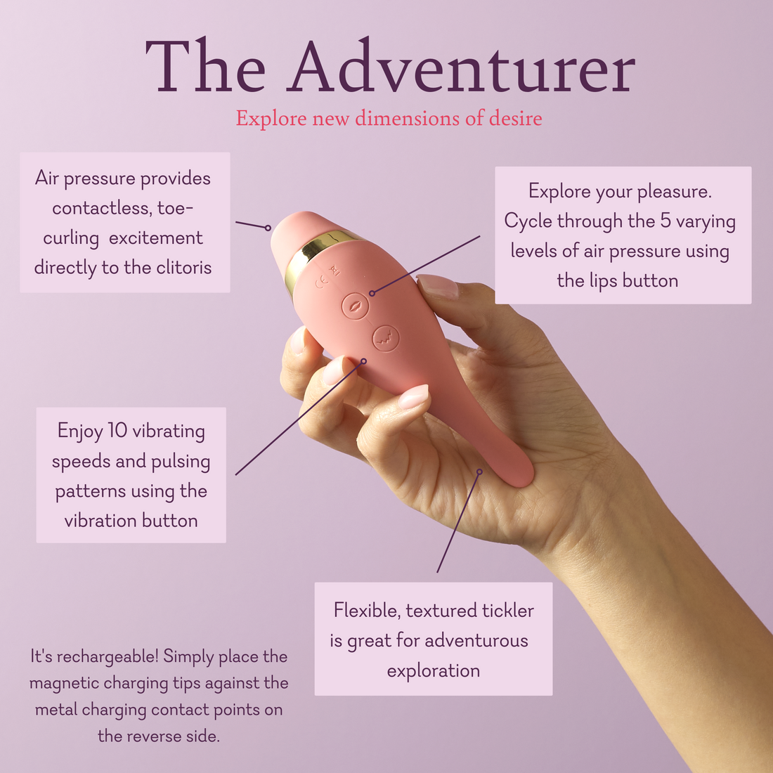 The Adventurer