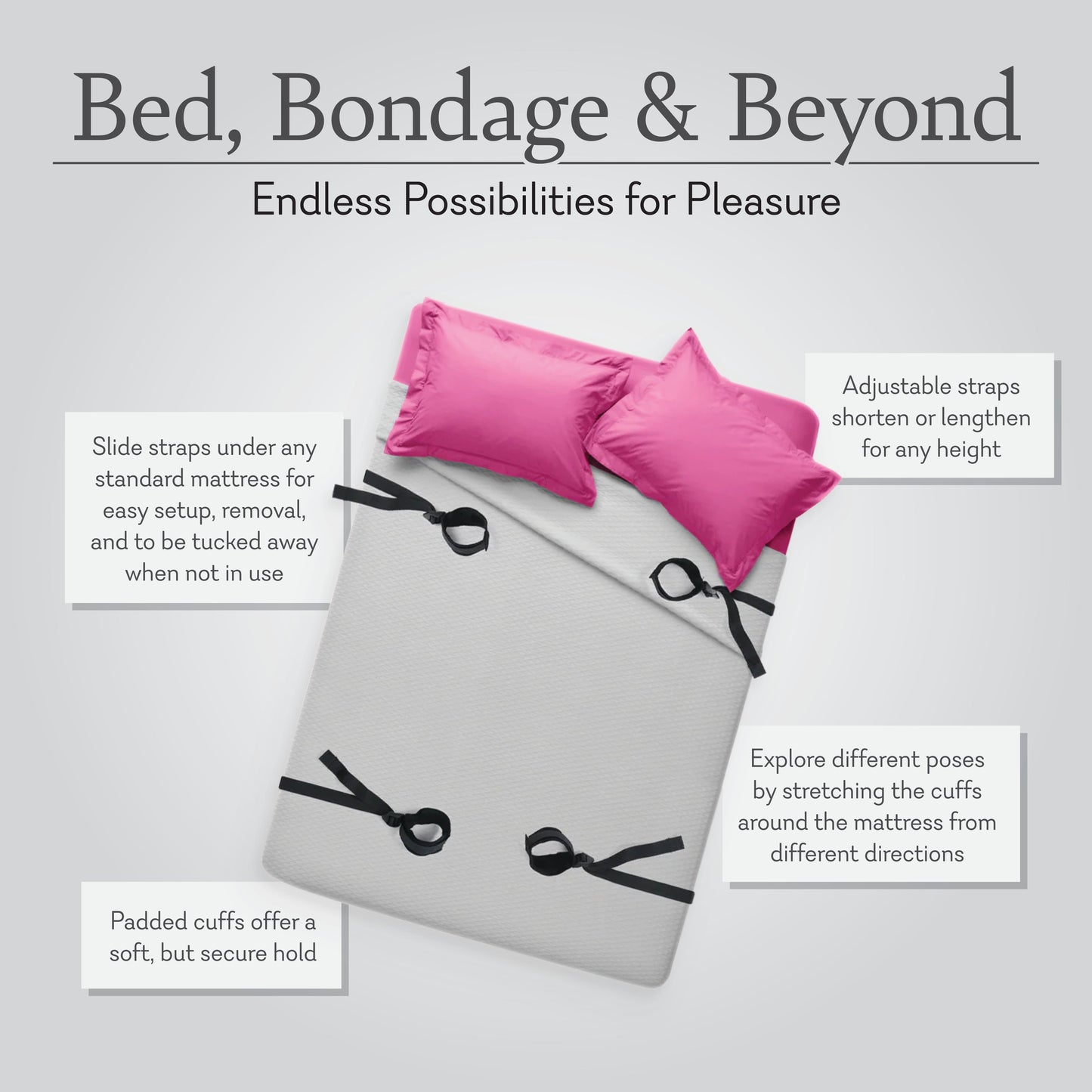 Bed, Bondage and Beyond